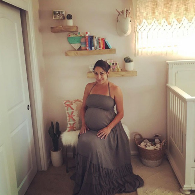 Brie Bella, Instagram